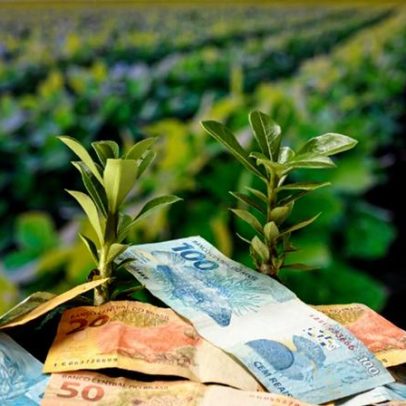 STF aponta omissão regulatória em renegociação de dívida rural