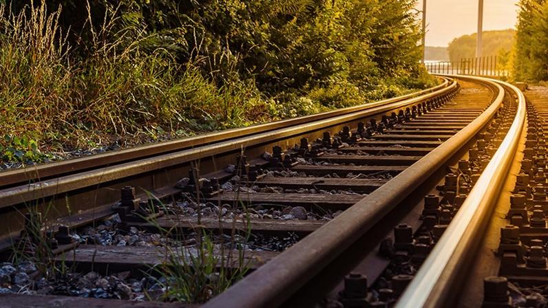 AO VIVO: STF julga redução de parque para construção da Ferrogrão - Migalhas