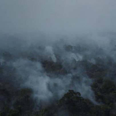 Dino cobra da União e dos estados ações contra incêndios diante do El Niño