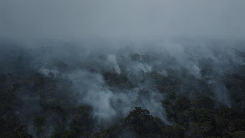STF: Flávio Dino manda União e Estados informarem ações contra incêndios diante de riscos do El Niño
