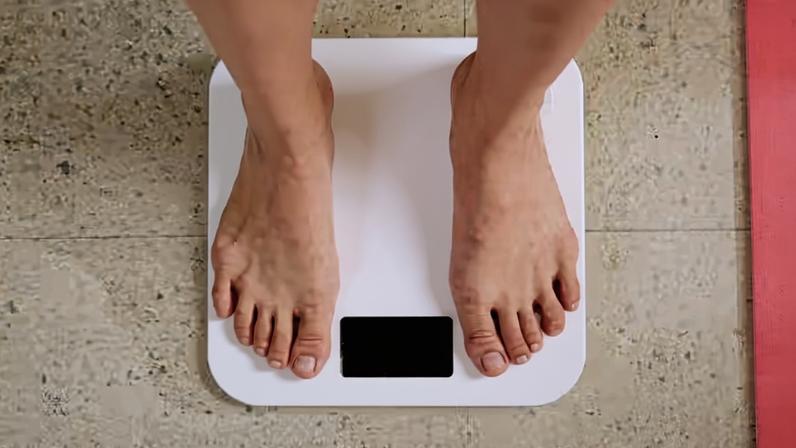 Alterações epigenéticas em células do sistema imunológico podem registrar o histórico de obesidade no organismo