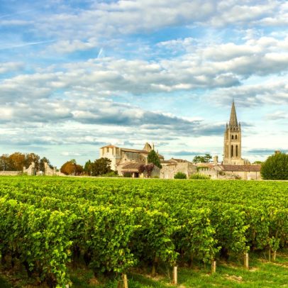 David Thomas diz que 2025 é safra a ser valorizada pela Bordeaux Index