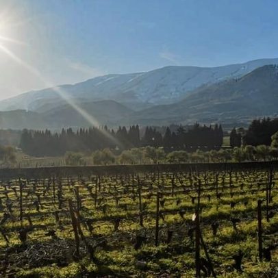 Sempre em alerta: Chateau Musar aborda vinificação em zona de guerra