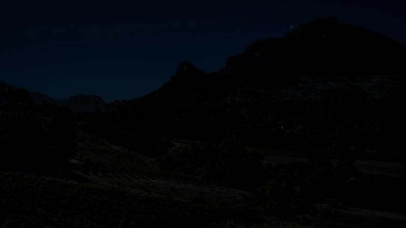 South Africa’s wine industry has reported a technically demanding but high-quality 2026 harvest, with producers overcoming climatic extremes to deliver concentrated wines with strong premium potential.