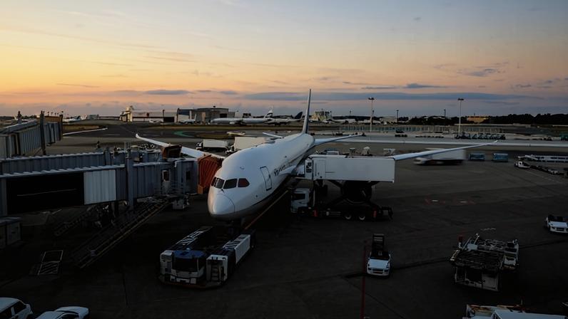 Japan Airlines flight delay alcohol