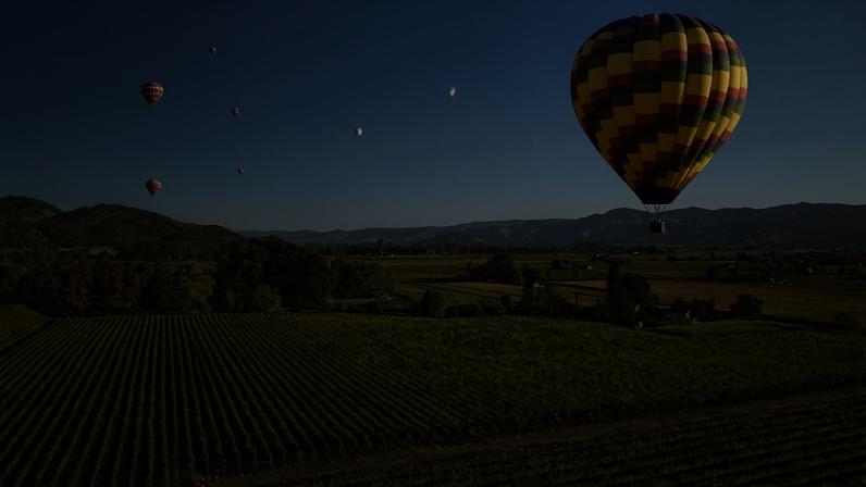 Napa Valley growers are being urged to track down potentially infected grapevines after agricultural officials discovered an invasive pest capable of spreading a devastating vine disease.