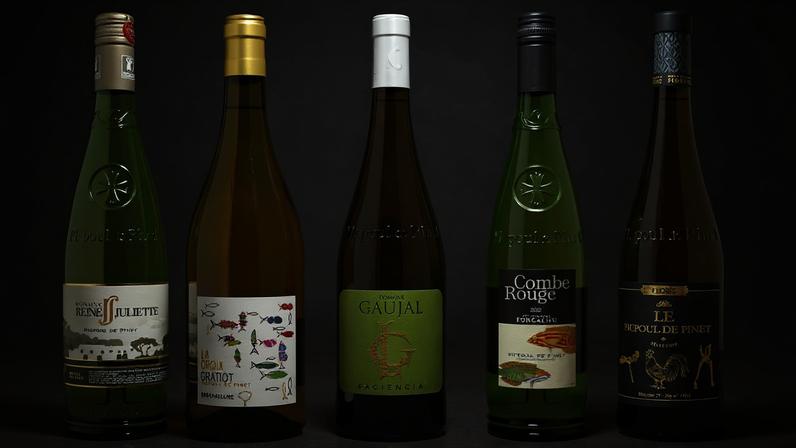 Resultados de degustação: o melhor Picpoul de Pinet oferece textura e frescor
