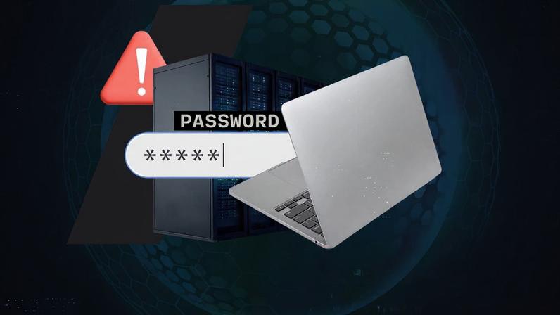 Jeffrey Hazelwood/ZDNET; Shutterstock