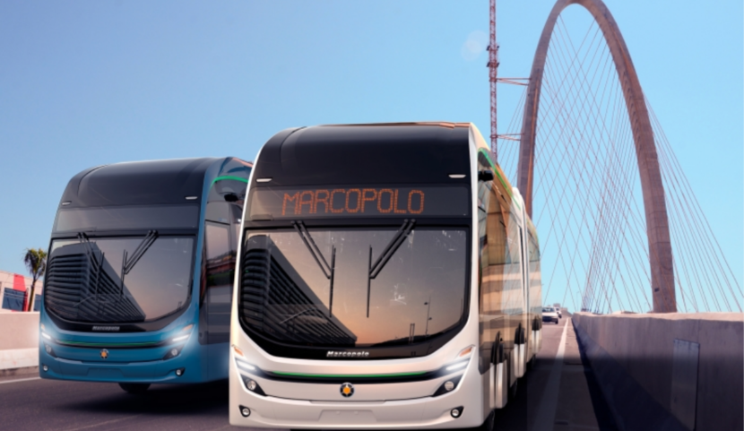 Foto: Marcopolo (POMO4)/Divulgação