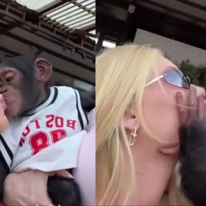 Virginia se explica por beijo em macaco e não comenta racismo contra Vini Jr