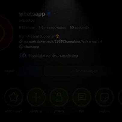 Por que o WhatsApp mudou de cor no Instagram
