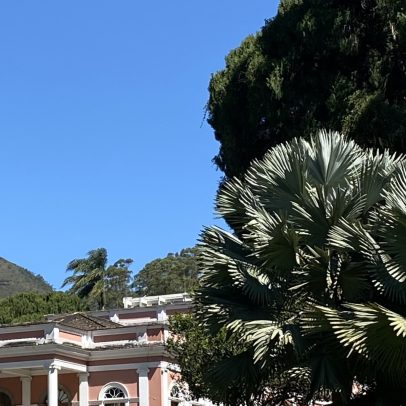 Sete jardins de museus brasileiros para conhecer