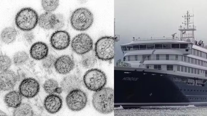 Autoridades sanitárias de diferentes países têm acompanhado e monitorado os avanços da contaminação nos seus cidadãos que estiveram à bordo do MV Hondius — Foto: Cynthia Goldsmith e Luanne Elliott