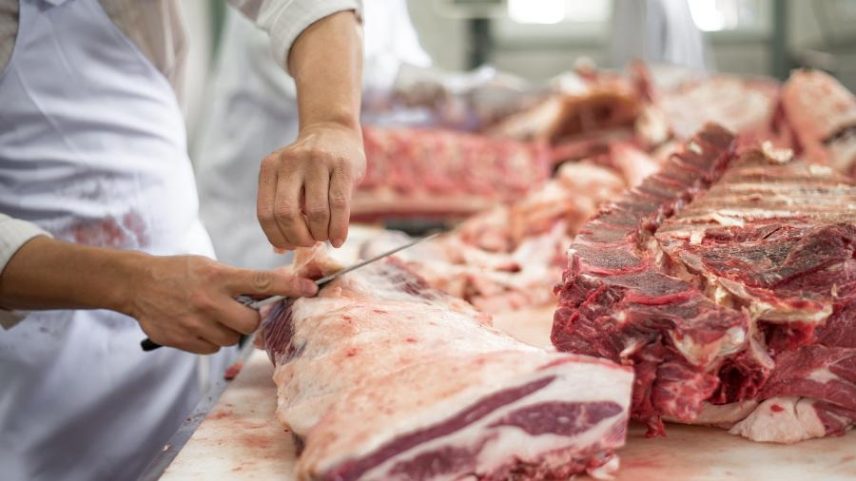 Carne bovina no centro da tensão entre os países membros do Mercosul: acordo com UE começa com lacunas