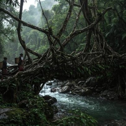 Raízes, bambu e pedras na Índia criam passagens de tração que não enferrujam