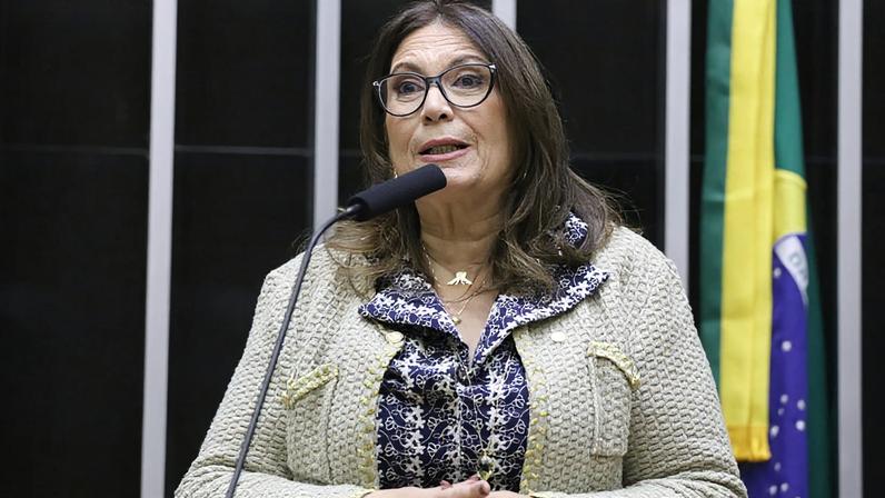 Na imagem, a deputada federal Bia Kicis