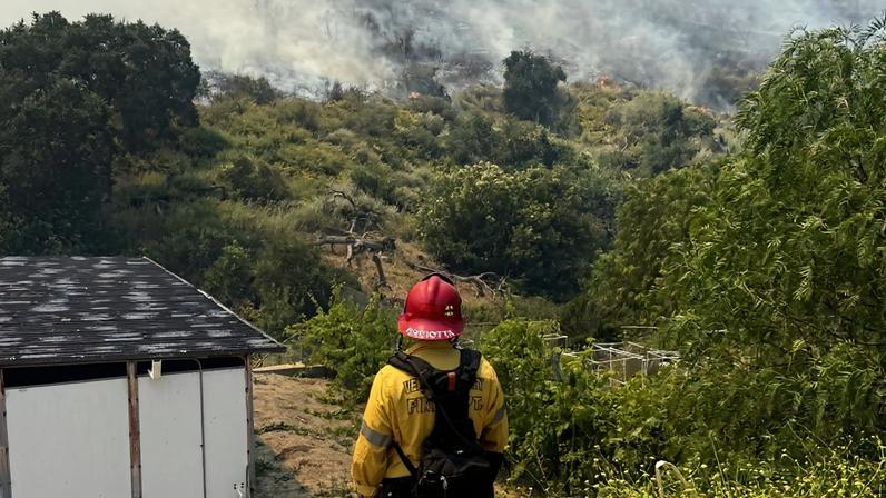 Bombeiro olha para foco de fogo em floresta