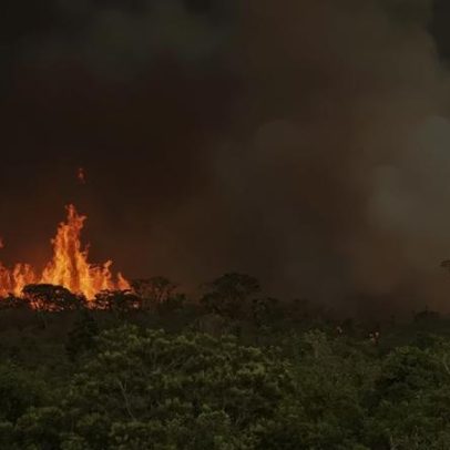 Incêndios florestais atingem recorde global e podem ser agravados pelo El Niño