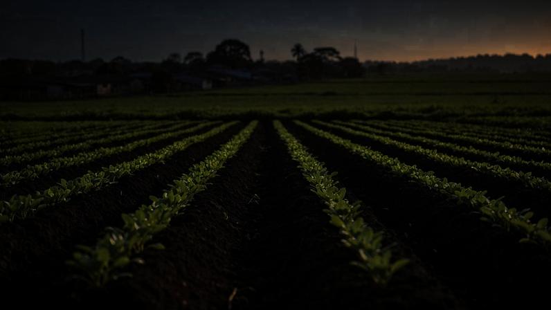 Incra credencia associação de agricultores para programa de reforma agrária no Amapá