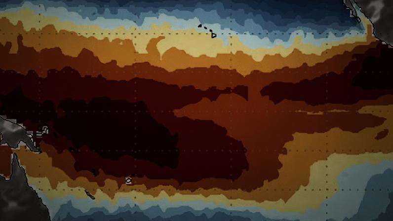 Animação da Temperatura da Superfície do Mar no Pacífico Tropical em 6 de maio de 2026, segundo o NOAA