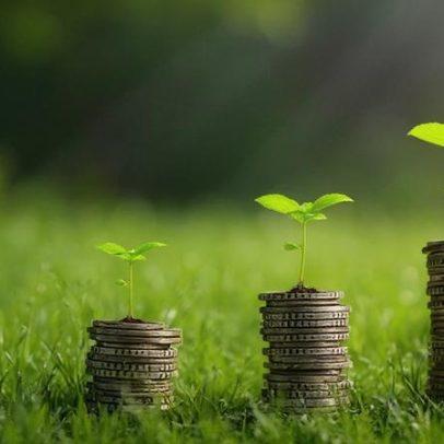 Instituto Amazônia+21 cria fundo de US$ 25 milhões para pequenos produtores