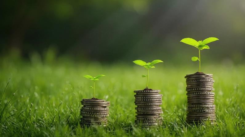 Instituto Amazônia+21 anuncia fundo de US$ 25 mi para desenvolver pequenos produtores na região