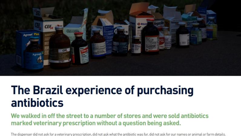 Trecho do "Relatório sobre a Investigação no Brasil" relata suposta compra de antibióticos sem receita no país. Pressão irlandesa levou ao bloqueio das exportações de carne brasileira à UE. (Foto: Reprodução/IFA/Irish Farmers Journal)