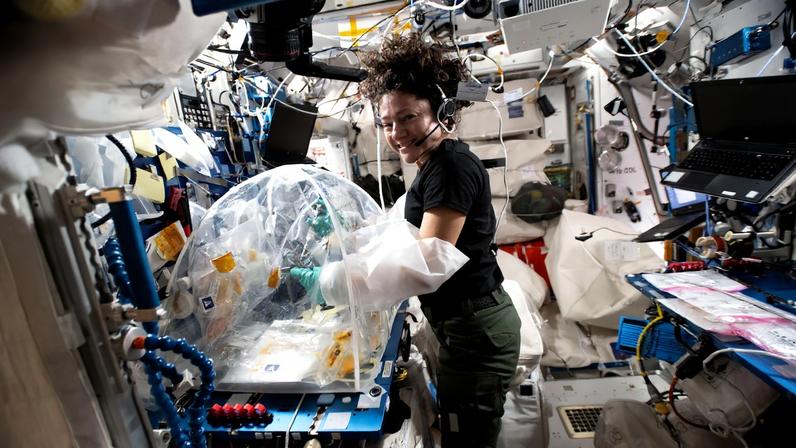 NASA astronaut and Expedition 74 flight engineer Jessica Meir processes samples of heart stem cells and bacteria that cause pneumonia using a portable glovebag inside the International Space Station's Harmony module.