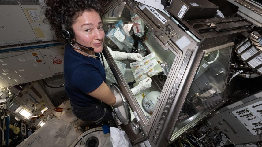 NASA astronaut and Expedition 74 flight engineer Jessica Meir works inside the Kibo laboratory module’s Life Science Glovebox aboard the International Space Station. Meir was preparing blood‑making cell samples—blood platelets—for incubation and growth to observe how weightlessness affects a crew member’s blood clotting and immune function at the cellular and genetic levels.