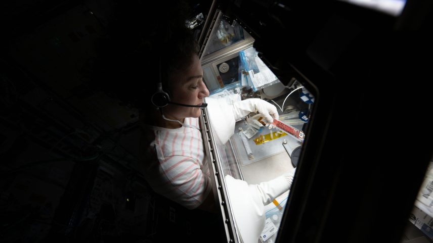 NASA astronaut Jessica Meir works on InSPA-StemCellEX-H2 inside the Life Sciences Glovebox. Microgravity samples will be frozen and returned to Earth for further analysis of stem cell expansion in space.