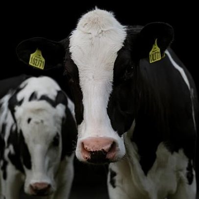 UE rejeita pedido do Brasil por transição em regra de antimicrobianos