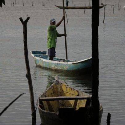 Conferências estaduais de aquicultura e pesca ocorrem em junho e julho