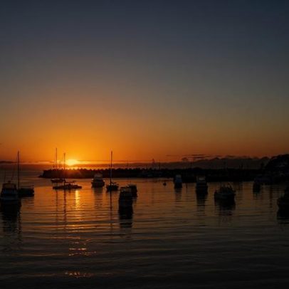 Guia de vinhos para a Costa de Shoalhaven