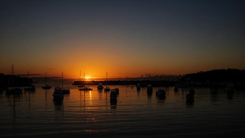 Guia de vinhos para a Costa de Shoalhaven