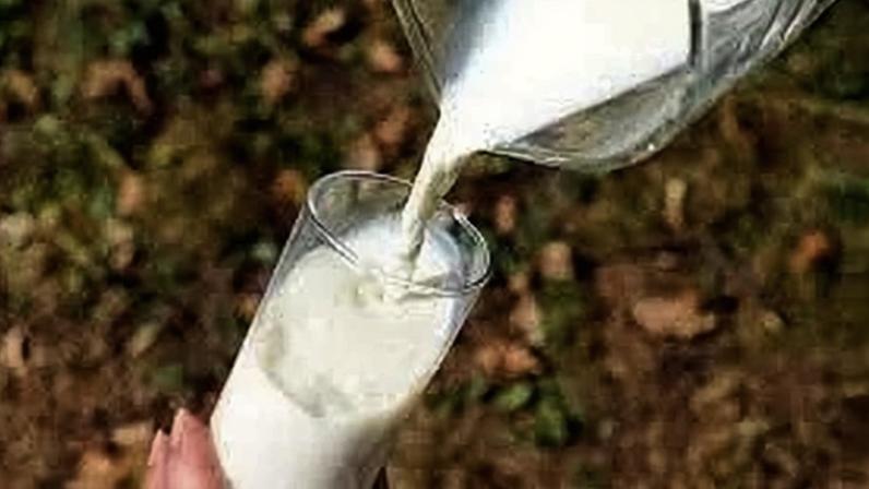 Leite pressiona inflação de alimentos por três meses consecutivos
