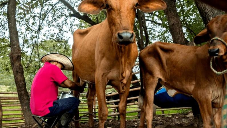Produtor de agricultura familiar | Divulgação/Ministério da Agricultura