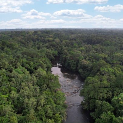 Política de mercado de carbono da Libéria avança, enfrenta resistência
