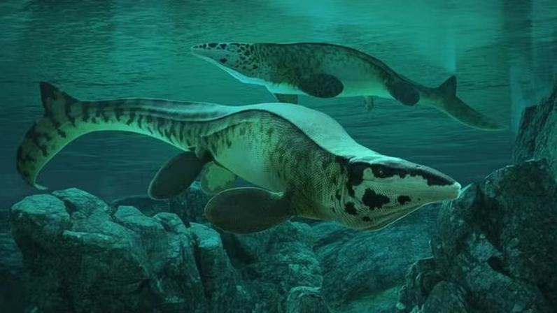 Representação artística de um Tylosaurus rex no Mar Interior Ocidental da América do Norte, durante o período Cretáceo