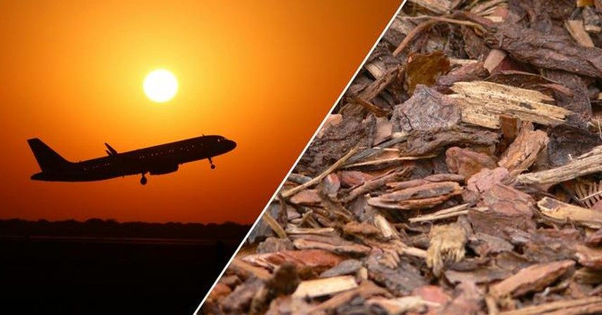 Segundo um estudo da Universidade de Tecnologia de Chalmers, as regulamentações da UE podem levar ao uso ineficiente da biomassa na produção de combustível de aviação sustentável.