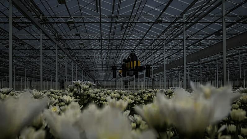Drone Bee-Nav: drones em estufas podem ajudar no monitoramento das plantações, aumentando a produtividade agrícola e reduzindo desperdícios.