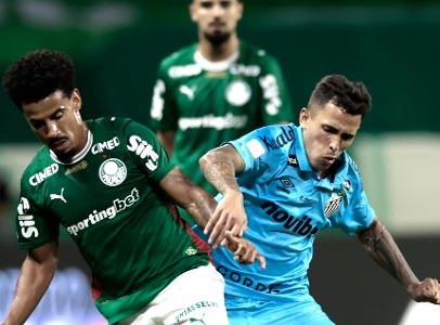 Palmeiras errou, podia ampliar vantagem sobre o Flamengo, opinam colunistas