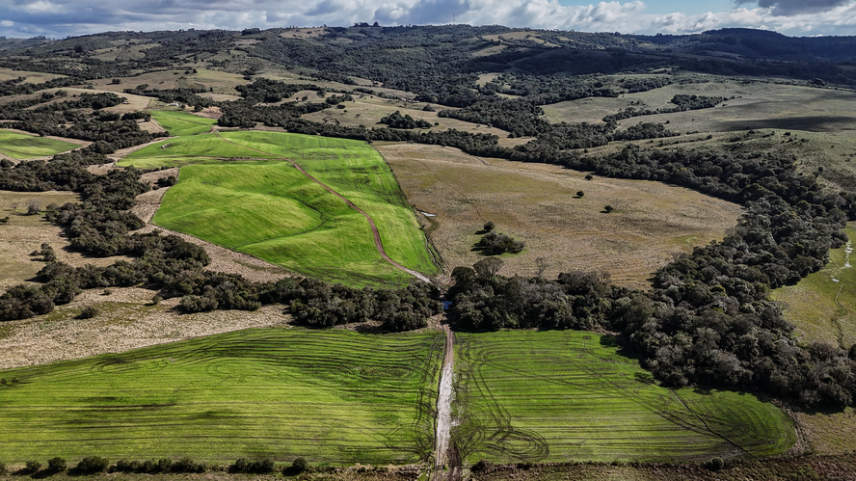 Imagem do Pampa mostra a fragmentação da terra para cultivos e estradas.