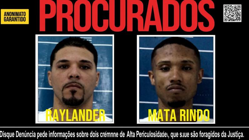 1 de 1 mata-rindo-e-raylander-