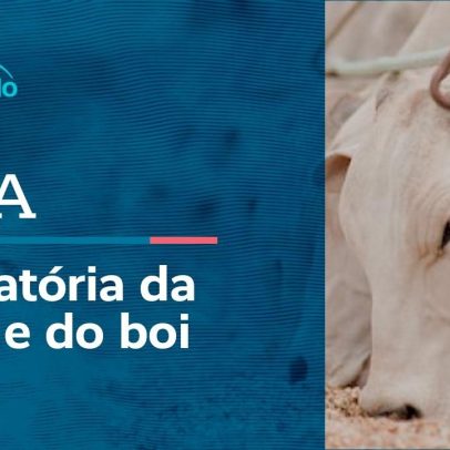 CRA debate moratória da soja em Mato Grosso