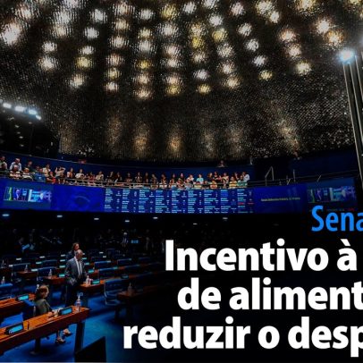 Senado aprova incentivo à doação de alimentos para reduzir desperdício