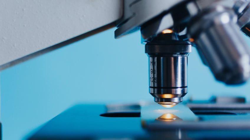 Estudo aponta padrão imune comum em Alzheimer, Parkinson e esclerose