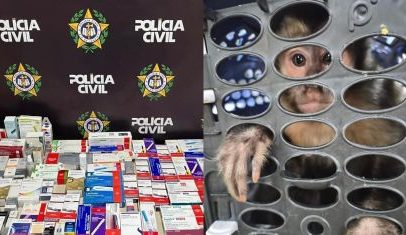 Homem é preso no Rio com macaco-prego e canetas emagrecedoras