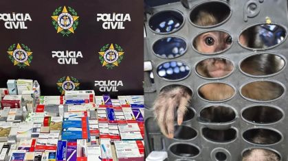 Polícia Civil prende criminoso ligado a roubos de farmácias e apreende canetas emagrecedoras em Jacarepaguá