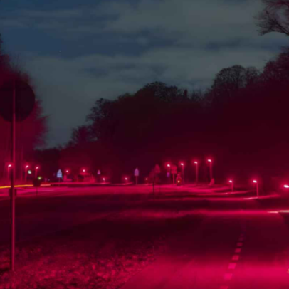 Dinamarca altera iluminação de ruas para proteger morcegos