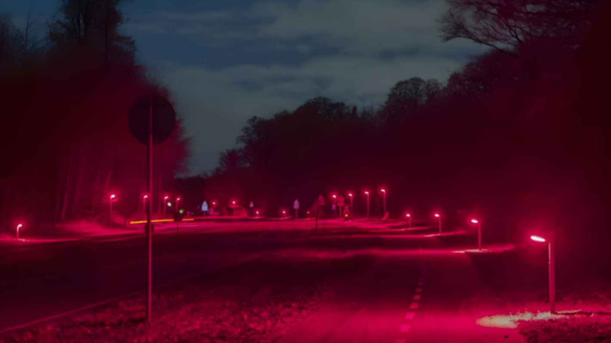 Projeto utiliza LEDs vermelhos para reduzir poluição luminosa e preservar corredores naturais do animal